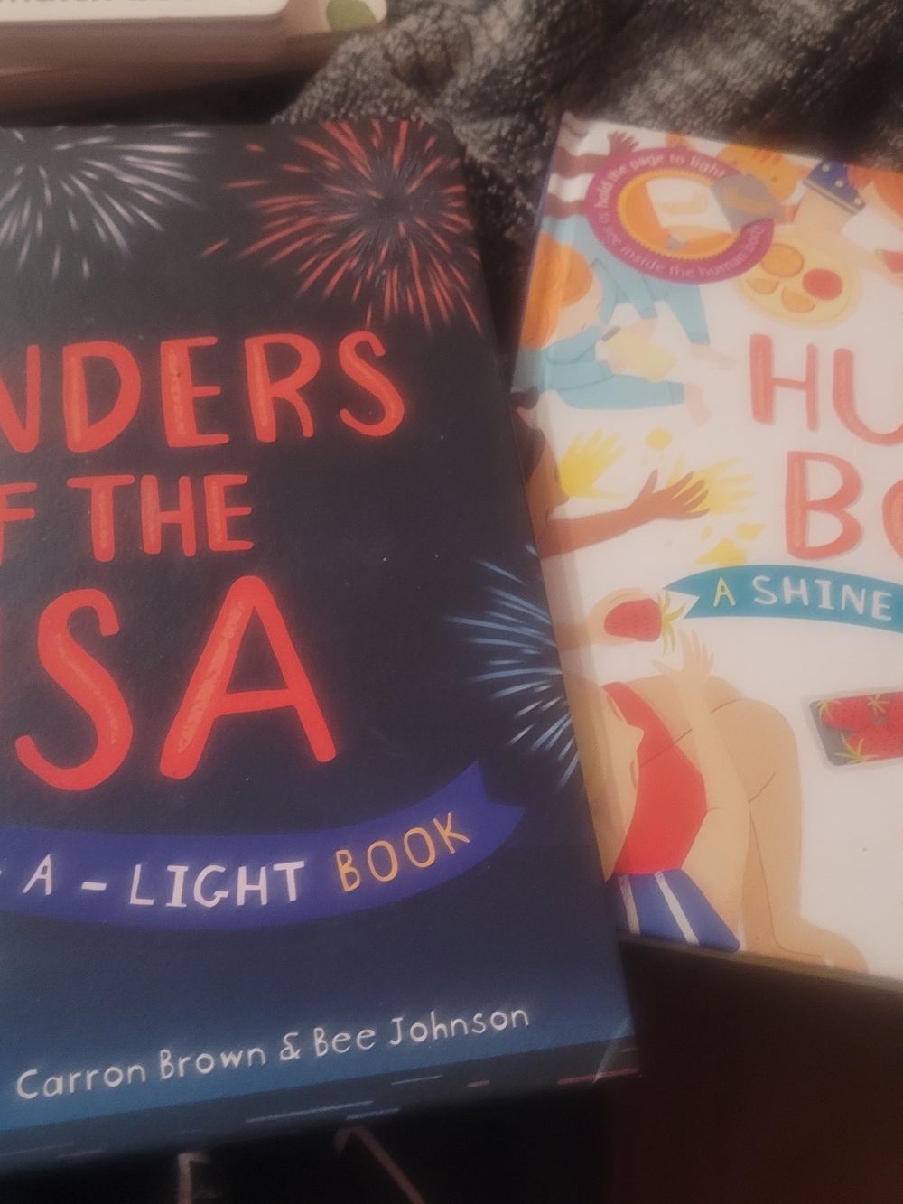Usborne Shine-A-Light Books Set of 2 Human Body & Wonders of the USA